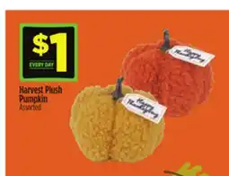 Dollar General Harvest Plush Pumpkin offer