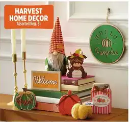 Dollar General HARVEST HOME DECOR offer