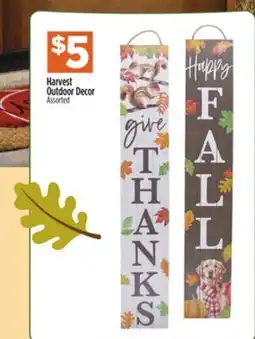 Dollar General Harvest Outdoor Decor offer