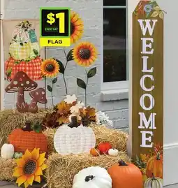 Dollar General FLAG offer