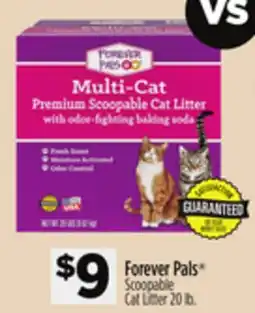 Dollar General Forever Pals Scoopable Cat Litter offer