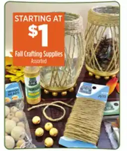 Dollar General Fall Crafting Supplies offer