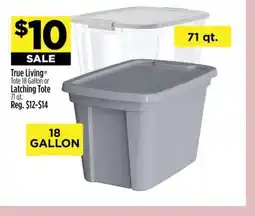 Dollar General True Living Tote offer