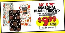 Ollie's SEASONAL PLUSH THROWS offer