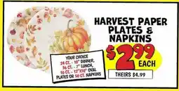 Ollie's HARVEST PAPER PLATES & NAPKINS offer