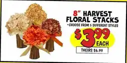 Ollie's HARVEST FLORAL STACKS offer