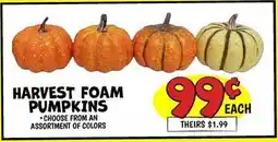 Ollie's HARVEST FOAM PUMPKINS offer
