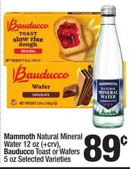 Super King Markets Mammoth Natural Mineral Water 12 oz (+crv), Bauducco Toast or Wafers 5 oz Selected Varieties offer