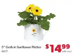 Family Fresh Market 5" Gerb in Sunflower Pitcher offer