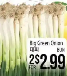Hmart Big Green Onion offer