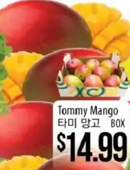 Hmart Tommy Mango offer