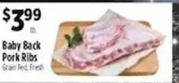 Pioneer Supermarkets Baby Back Pork Ribs offer