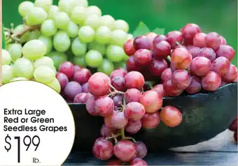 Extra Large Red or Green Seedless Grapes