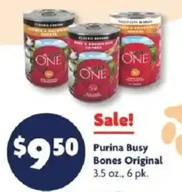 Family Dollar Purina Busy Bones Original offer