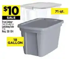 Dollar General True Living latching tote offer