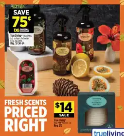 Dollar General True Living wax melts offer