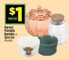 Dollar General Harvest Pumpkin, Ramekin or Spice Jar Assorted offer