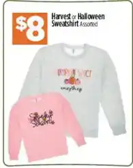 Dollar General Harvest or Halloween Sweatshirt Assorted offer