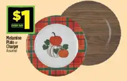 Dollar General Melamine Plate or Charger Assorted offer