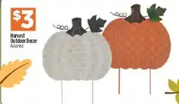 Dollar General Harvest Outdoor Decor Assorted offer