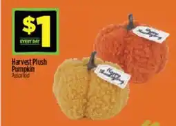 Dollar General Harvest Plush Pumpkin Assorted offer