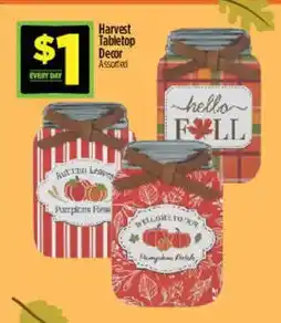 Dollar General Harvest Tabletop Decor Assorted offer