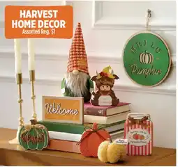 Dollar General Harvest Home Decor offer