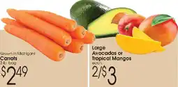 Family Fare Large Avocados or Tropical Mangos offer