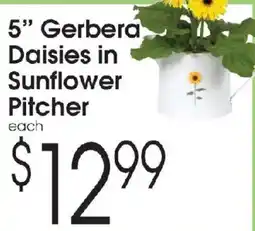 Family Fare Gerbera Daisies in Sunflower Pitcher offer