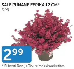 Walgreens Sale Punane Eerika offer