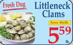 Market Basket Fresh Dug Littleneck Clams offer