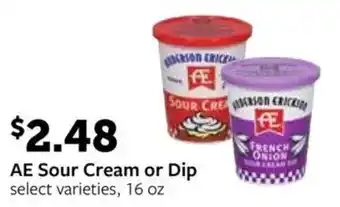 AE Sour Cream or Dip