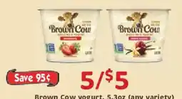 Market Basket Brown Cow yogurt offer