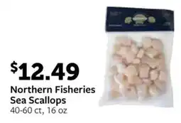 Fareway Northern Fisheries Sea Scallops offer