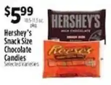 Pioneer Supermarkets Hershey's Snack Size Chocolate Candies offer