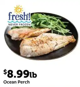 Fareway Ocean Perch offer