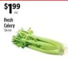 Pioneer Supermarkets Fresh Celery Sleeve offer