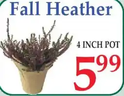Market Basket Fall Heather offer