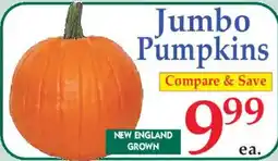 Market Basket Jumbo Pumpkins offer