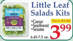 Market Basket Little Leaf Salads Kits offer