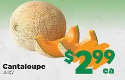 Sentry Cantaloupe offer