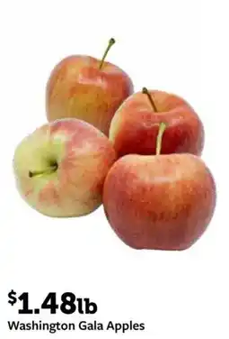 Fareway Washington Gala Apples offer