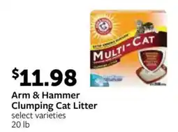 Fareway Arm & Hammer Clumping Cat Litter offer