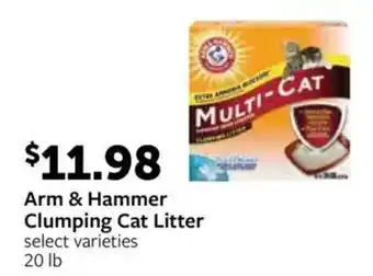 Fareway Arm & Hammer Clumping Cat Litter offer