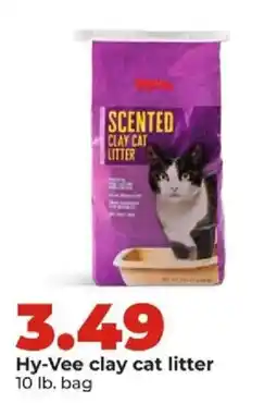 Hy-Vee Hy-Vee clay cat litter offer