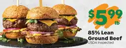 Sentry 85% Lean Ground Beef offer