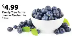 Fareway Family Tree Farms Jumbo Blueberries offer