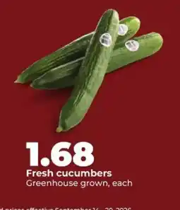 Hy-Vee Fresh cucumbers offer