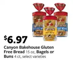 Fareway Canyon Bakehouse Gluten Free Bread offer