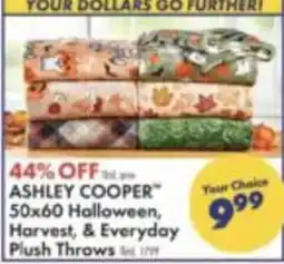 Boscov's Ashley Cooper 50x60 Halloween, Harvest, & Everyday Plush Throws offer